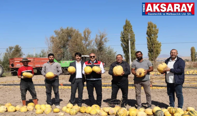Aksaray kabak üretiminde önemli bir merkez