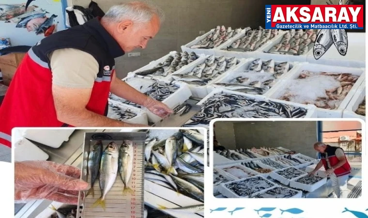 Balıklar tek tek cetvel ile ölçülüyor