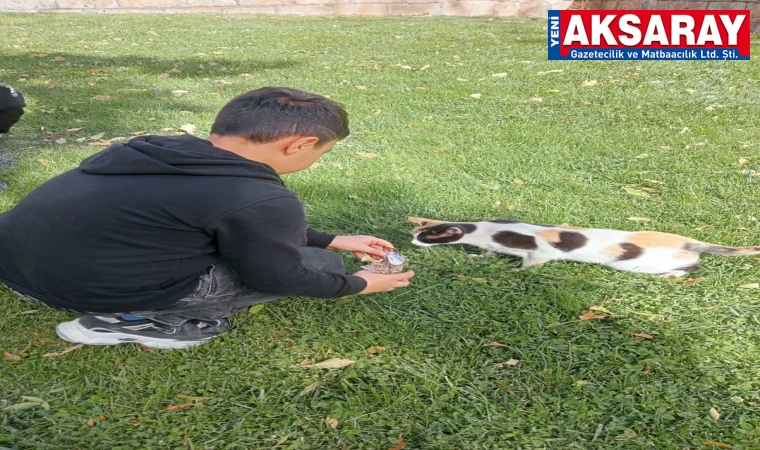 Minik yüreklerden sokak hayvanlarına şefkat eli