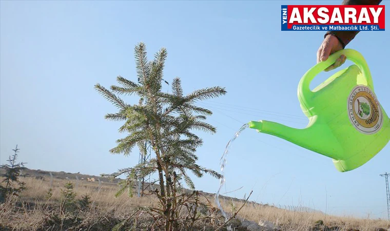 Yeşil Doğa Derneğinden fidan dikim çağrısı
