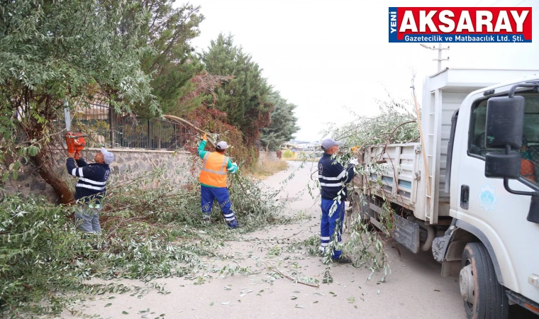 Yollara sarkan dallar temizleniyor