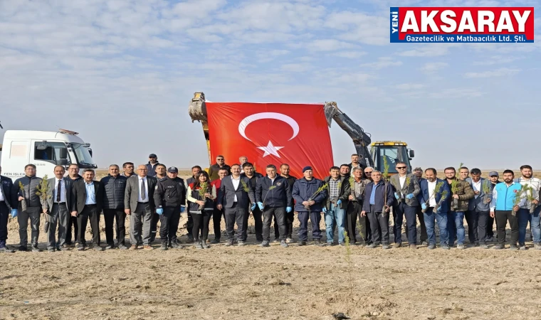 6 BİN 500 FİDAN TOPRAKLA BULUŞTU Sultanhanı’nda rekor fidan dikimi