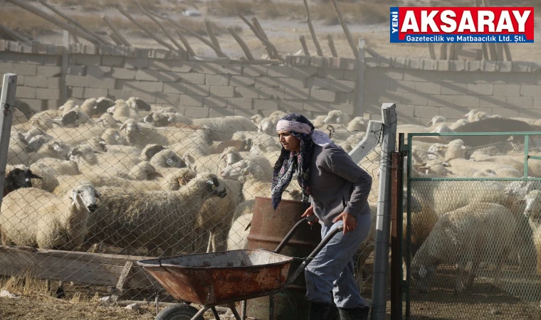 Çiftçi babanın en büyük destekçisi kızı oldu