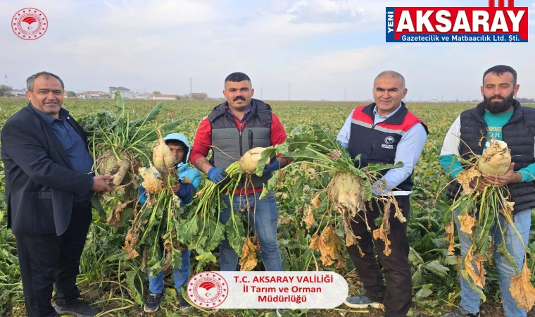 Pancar hasadına katıldılar