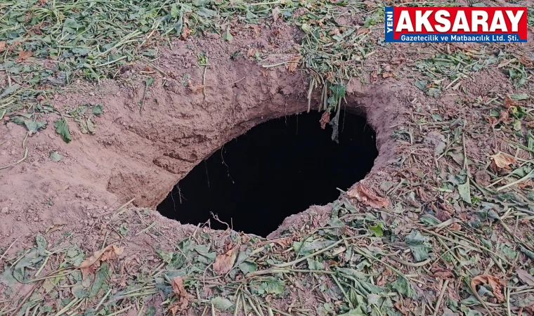 Pancar tarlasında obruk oluştu