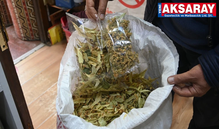 Poşet çaylar sağlık riski taşıyabilir