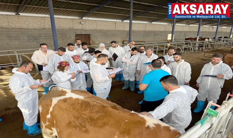 Sığır yetiştiricilerine kapsamlı eğitim programı