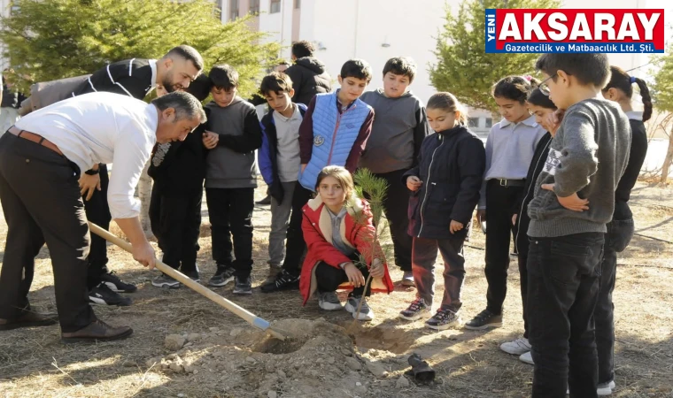 TÜRKİYE YEŞERİYOR GAZZE GÜÇLENİYOR  İlçelerde fidanlar toprakla buluştu