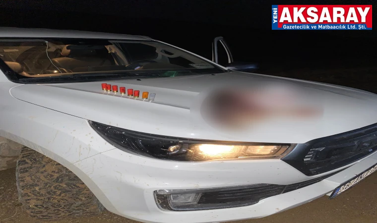 Yasa dışı avcılığa geçit yok