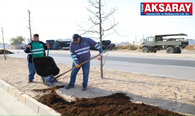 Yeni Sanayi Mahallesi yeşillendiriliyor