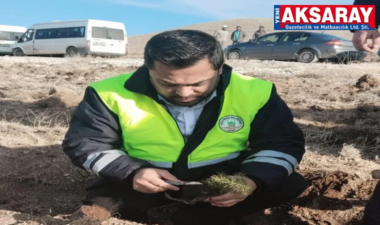 50 BİN FİDAN TOPRAKLA BULUŞTU Ağaçören’de 'sevdamız yeşil vatan' seferberliği