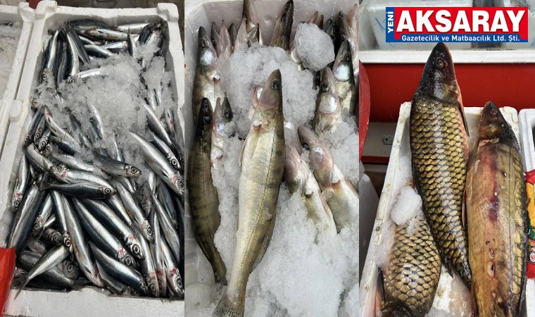 Aksaray’da balık bolluğu