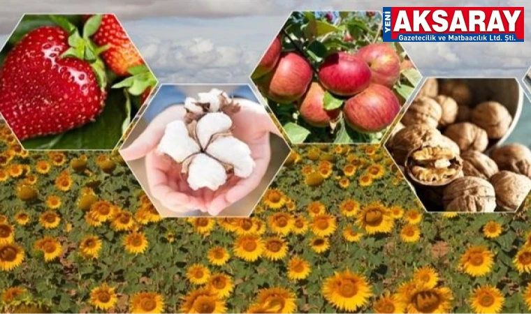 Bitkisel üretim düştü