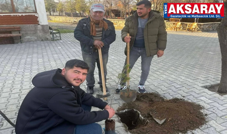 BOĞAZKÖY’LÜ GENÇLERDEN DOĞA SEFERBERLİĞİ: Kurumuş ağaçların yerine yeni fidanlar dikiyorlar