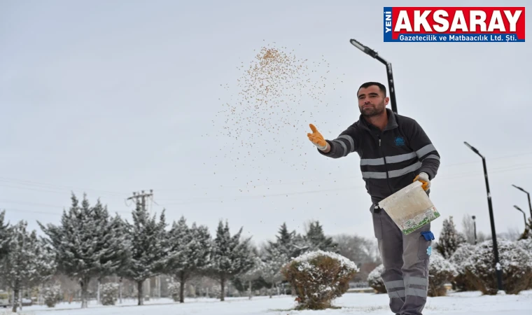 Doğada yemleme çalışmaları başladı
