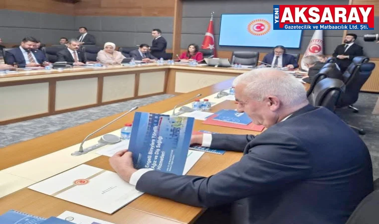 Engelli bireylerin sorunları Mecliste