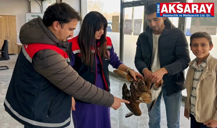 Yaralı şahine şefkat eli