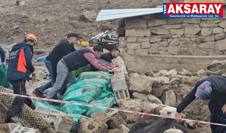 Ahır hayvanların üzerine çöktü