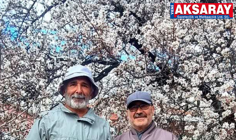 AKSARAY’DA ERKEN BAHAR Bademler çiçek açtı