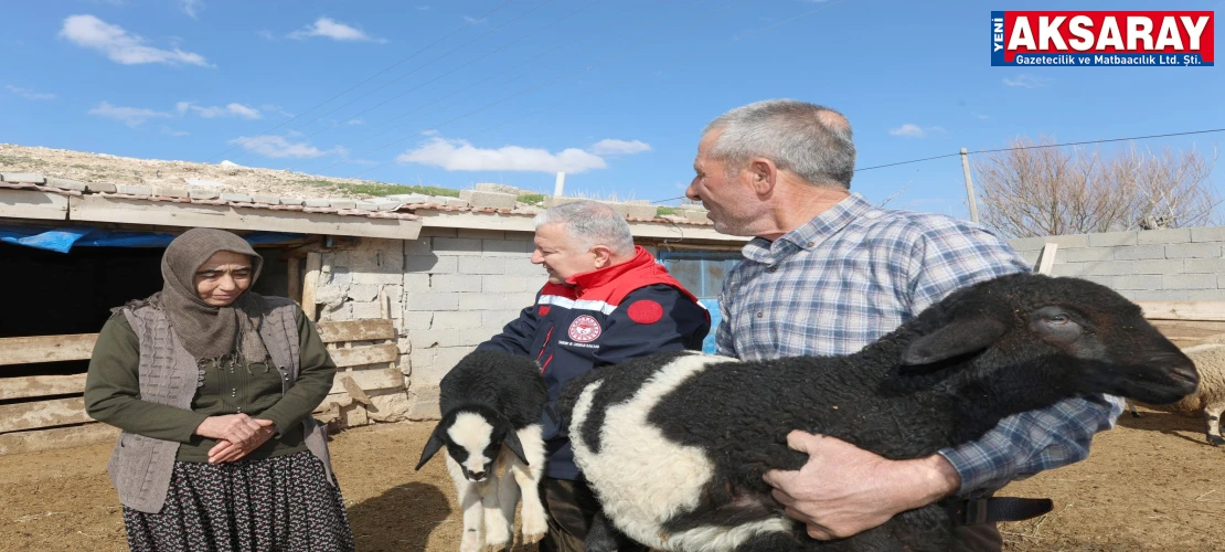 Çobanlık yaparak 4 evladını okuttu