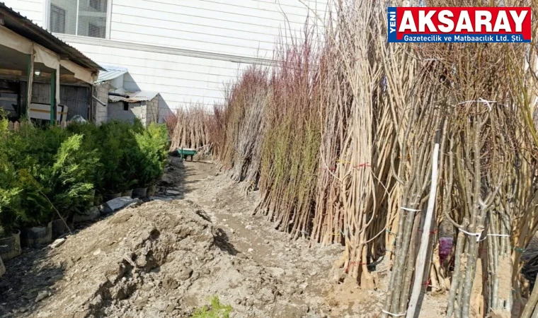 Fidan dikim zamanı geldi