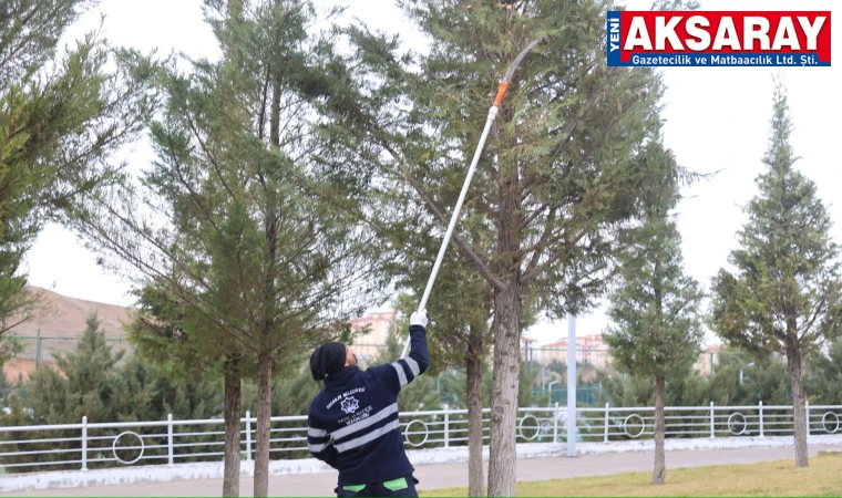 Parklarda ‘yeşil’ mesai