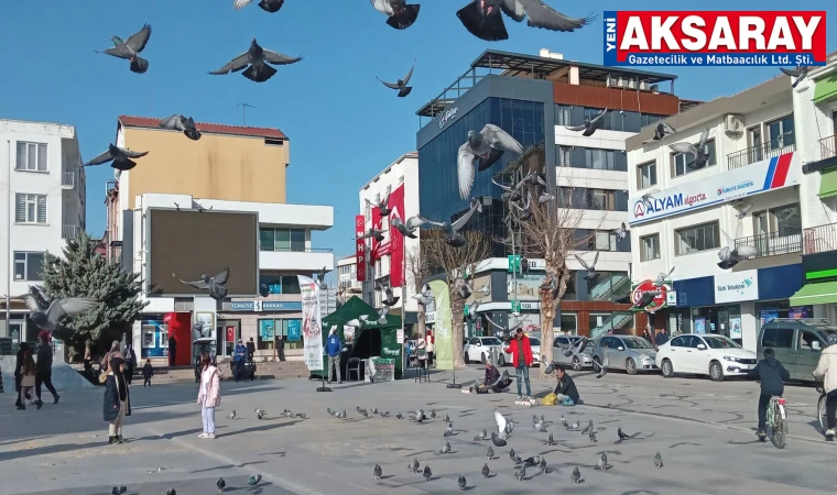 Şubat ayında bahar havası yaşanıyor