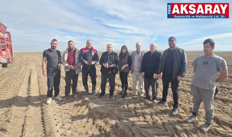 Sultanhanı’nda siyah havuç üretildi