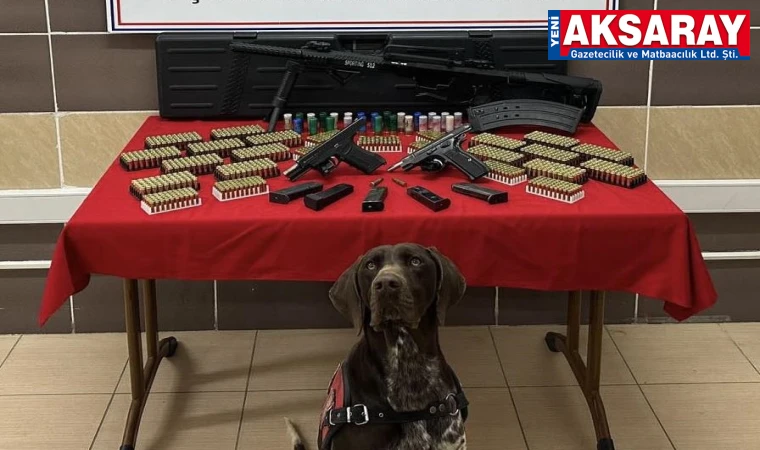 Ağaçören’de silah kaçakçılığına darbe