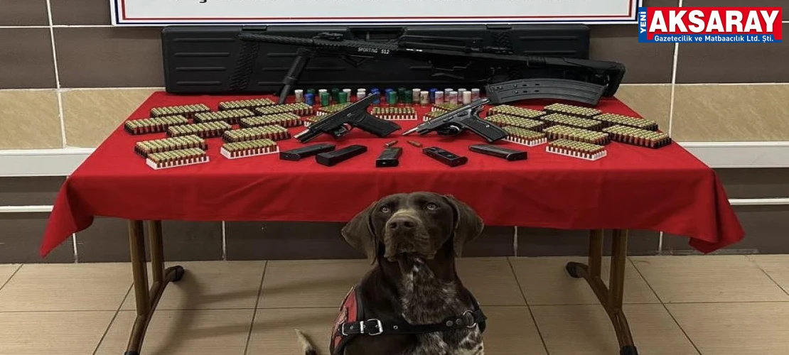 Ağaçören’de silah kaçakçılığına darbe