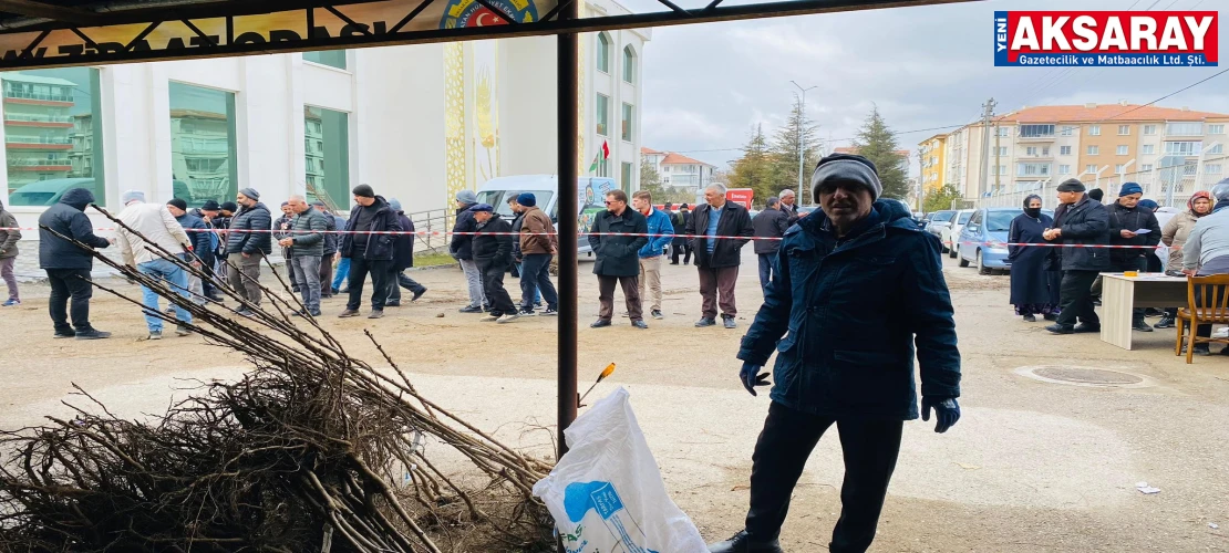 Ziraat Odası’nda fidan satışları başladı