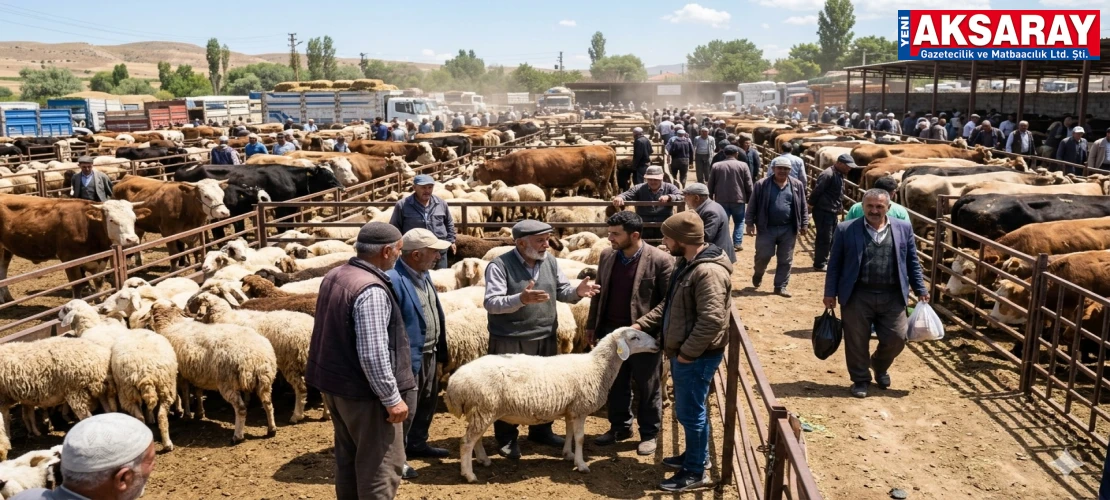 Aksaray'da kurbanlık fiyatları belli oldu