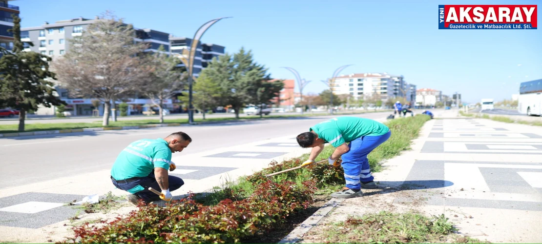 Aksaray’ın girişi gül kokacak