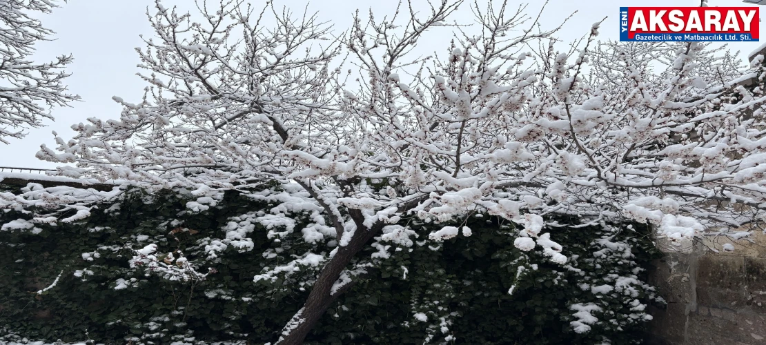 Çiçek açan meyve ağaçlarının üzerine kar düştü
