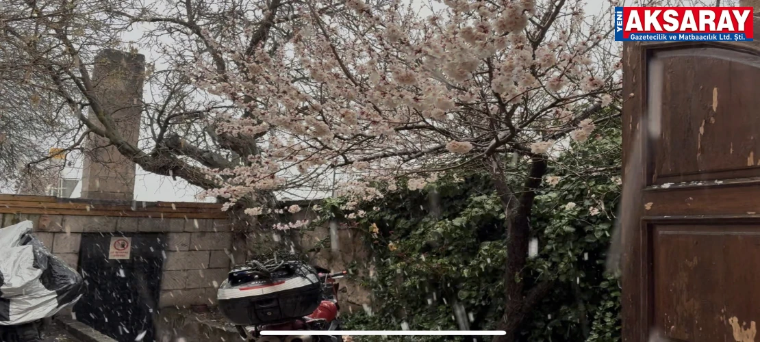 Çiçekteki meyve ağaçlarının üzerine kar yağdı