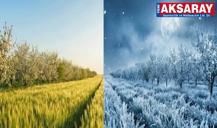 ÇİFTÇİYE KRİTİK UYARI Cumartesi gününe kadar zirai don riski var