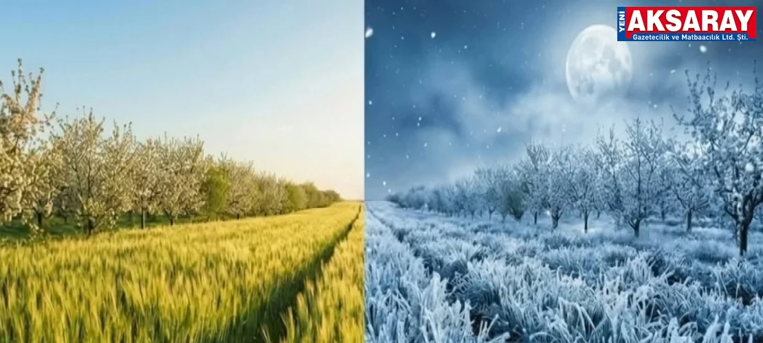 ÇİFTÇİYE KRİTİK UYARI  Cumartesi gününe kadar zirai don riski var
