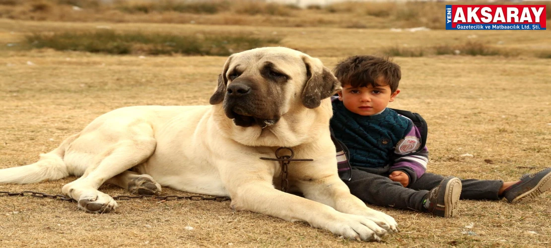 Malaklı ile yeniden gündemdeyiz