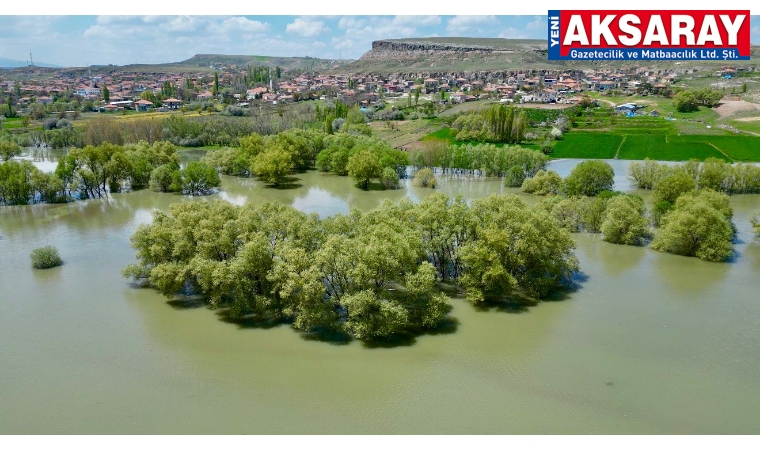 Yıllardan sonra aynı görüntüye kavuştu