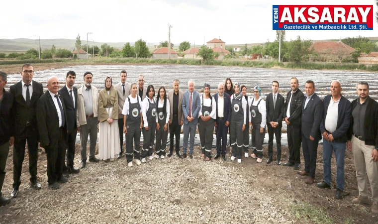 Boğazköy Çileği Üretim İşletmesi açıldı