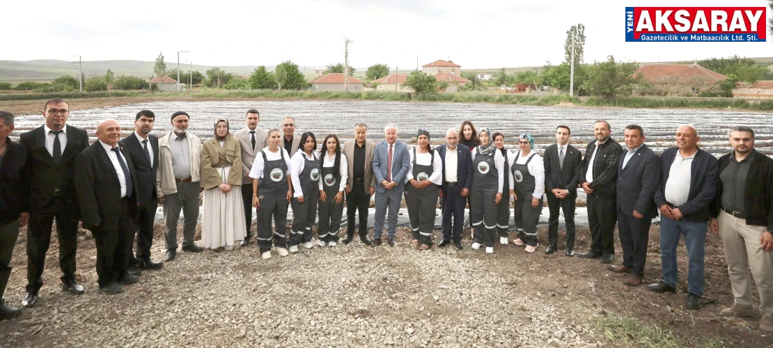 Boğazköy Çileği Üretim İşletmesi açıldı
