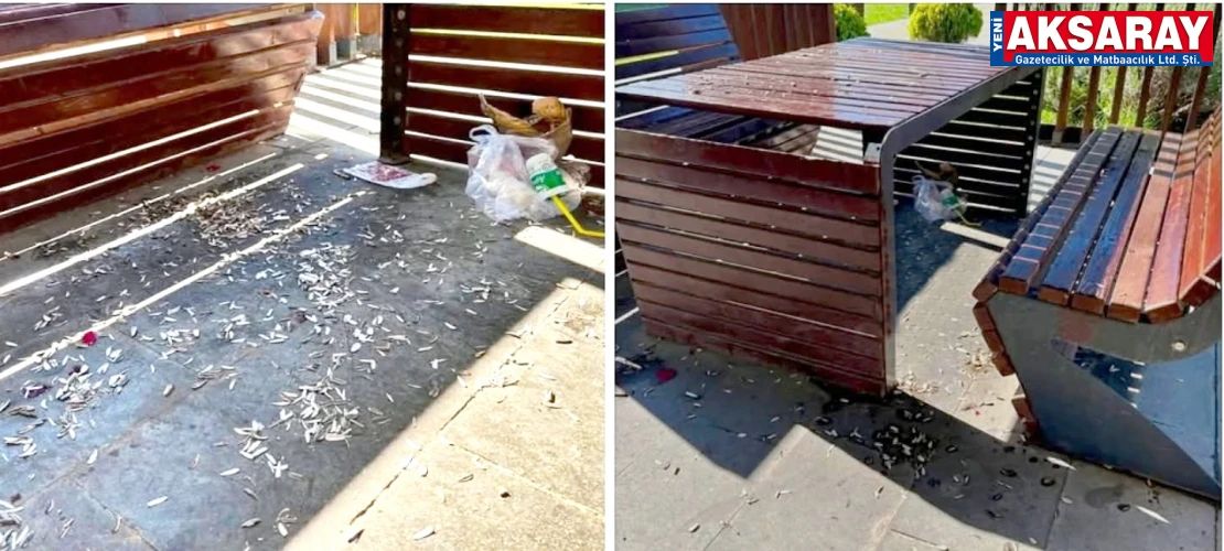 Çekirdek kabuklarıyla kirletilen kamelyalar isyan ettirdi