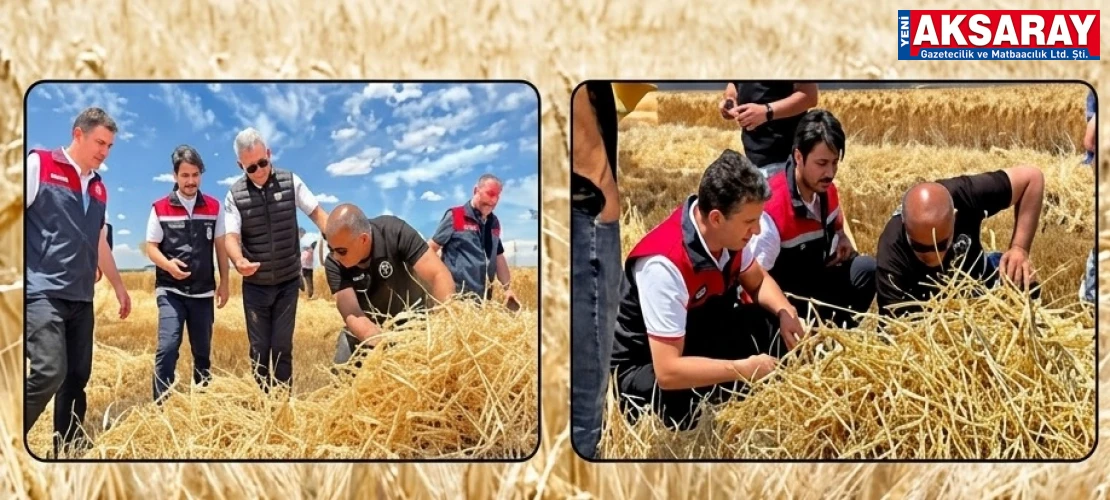 Eskil’de sezonun ilk arpa hasadı yapıldı