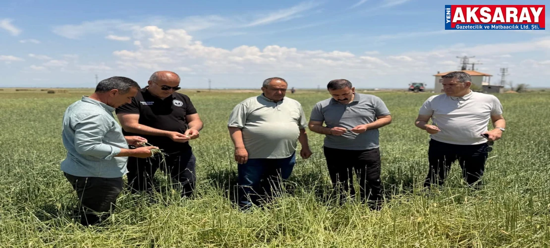 KIRDI GEÇTİ Sultanhanı’nda Dolu Afeti
