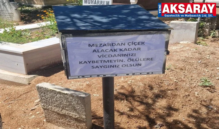 MEZARLIKTAN ÇALINAN ÇİÇEKLER TEPKİ Paylaşım ve fotoğraf gündem oldu