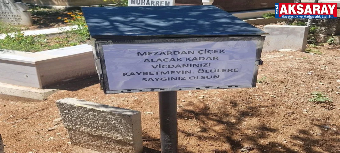 MEZARLIKTAN ÇALINAN ÇİÇEKLER TEPKİ Paylaşım ve fotoğraf gündem oldu