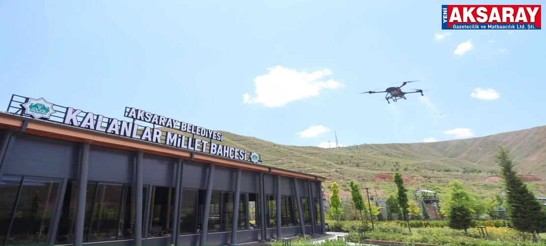 Millet Bahçeleri Dron ile İlaçlanıyor