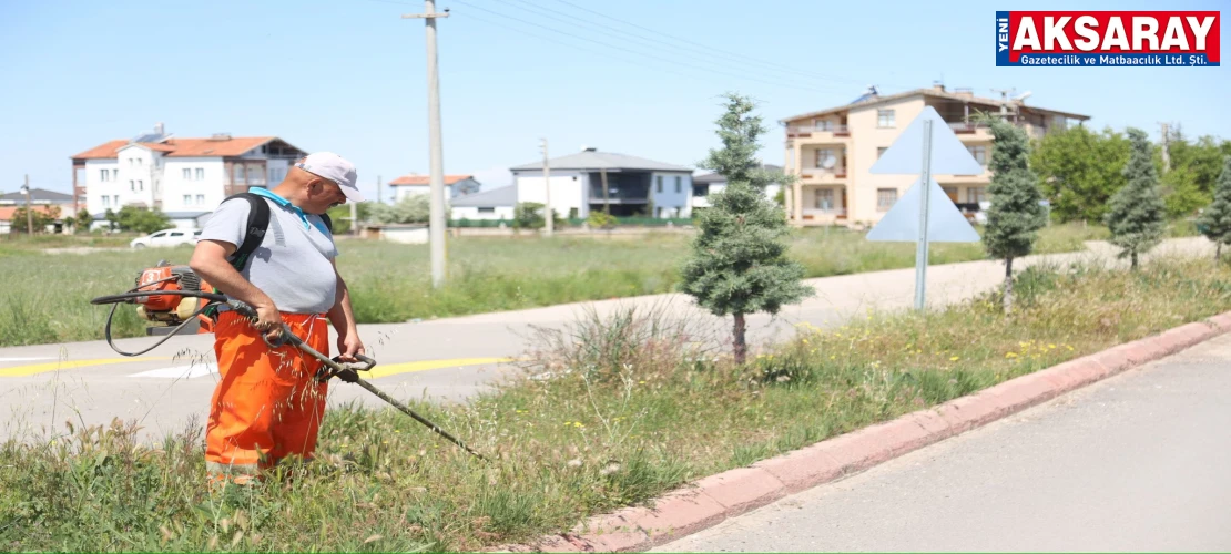 Park ve bahçelerde bahar harekatı