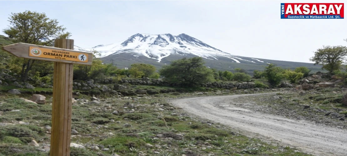 Aksaray'da ormanlara giriş yasaklandı