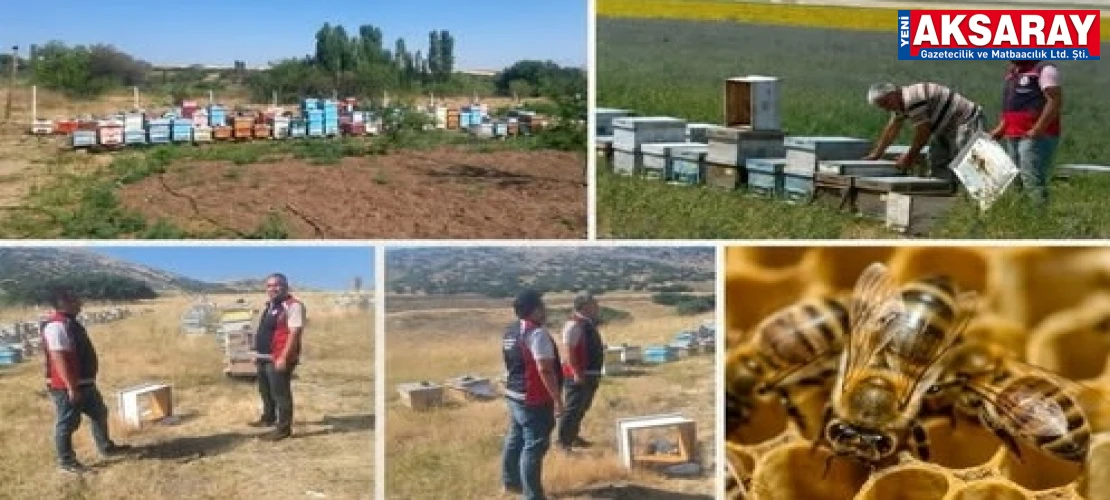 Arılı kovan denetim ve kontrolleri yapılıyor